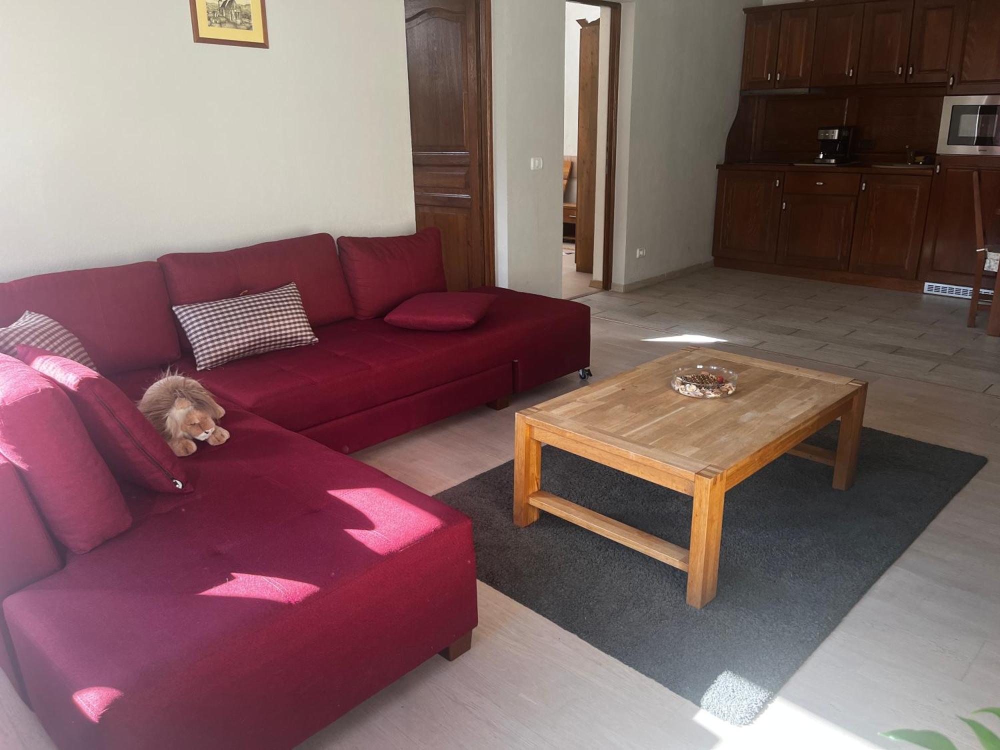 Cozy Apartment Брашов Экстерьер фото